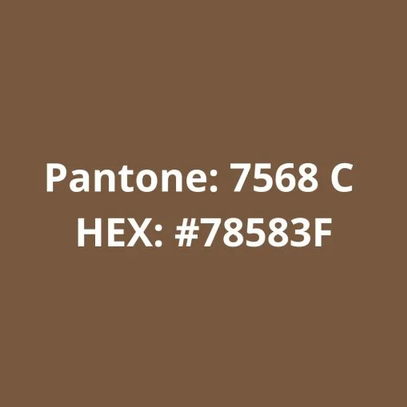 Filamento PLA Bronze 75g