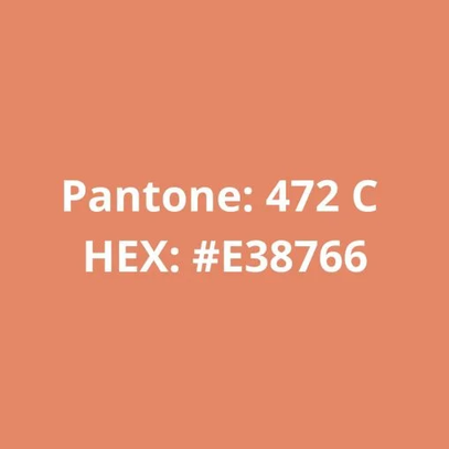 Filamento PLA Laranja Tijolo 75g
