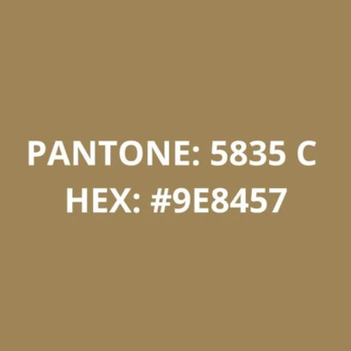 Filamento PLA Dourado 75g